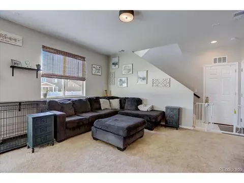 1813 Paley Dr, Windsor, CO 80550 photo 4