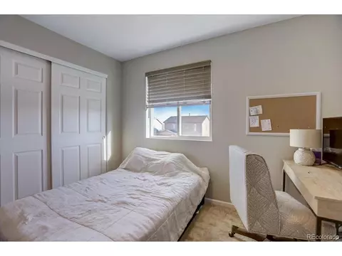 1813 Paley Dr, Windsor, CO 80550 photo 16