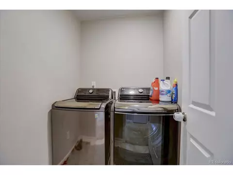 1813 Paley Dr, Windsor, CO 80550 photo 17