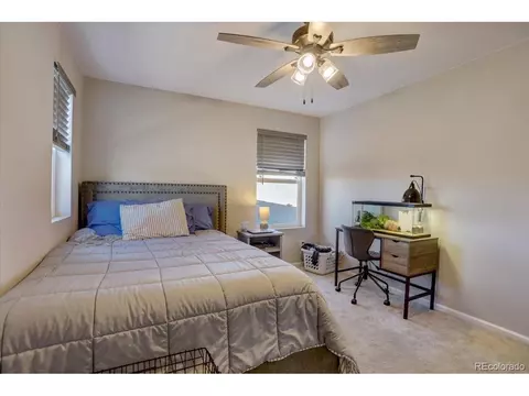 1813 Paley Dr, Windsor, CO 80550 photo 22