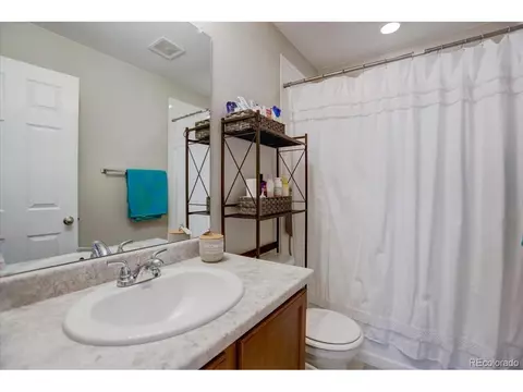 1813 Paley Dr, Windsor, CO 80550 photo 21