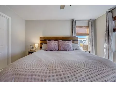1813 Paley Dr, Windsor, CO 80550 photo 12
