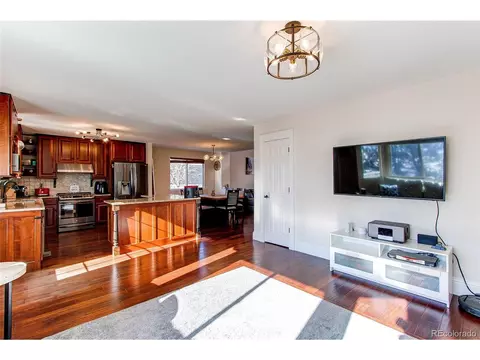 16710 E Fire Fly Ave, Parker, CO 80134 photo 10