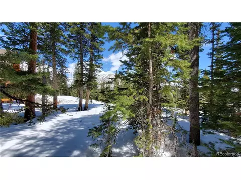 107 Hamilton Ln, Breckenridge, CO 80424