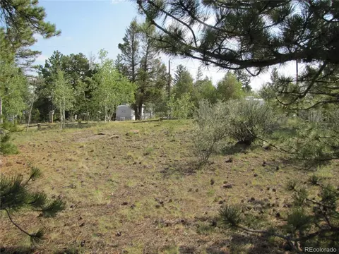 594 Lantern Loop, Hartsel, CO 80449 photo 7