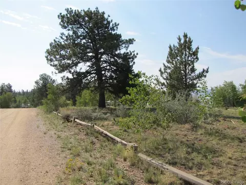 594 Lantern Loop, Hartsel, CO 80449 photo 13