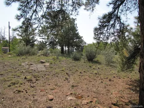 594 Lantern Loop, Hartsel, CO 80449 photo 10