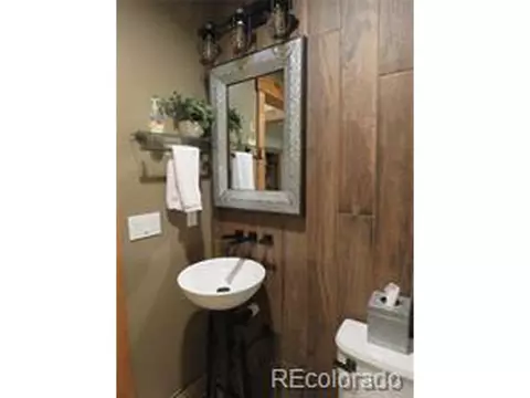 320 Fly Line Dr, Silverthorne, CO 80498 photo 10