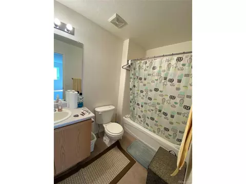 21540 E 46th Ave, Denver, CO 80249 photo 11