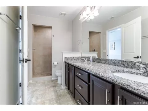 Bath - 19754 E 54th Pl, Denver, CO 80249 photo 3 of 4