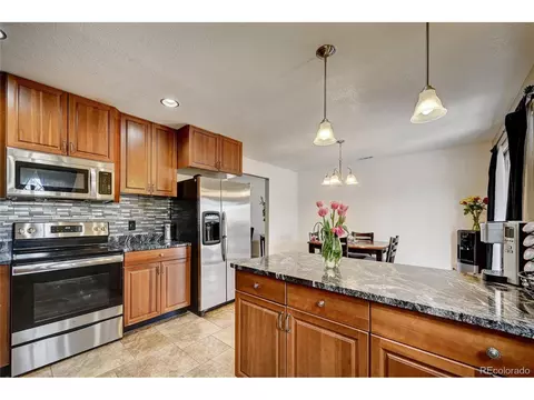 2564 E 101st Ct, Thornton, CO 80229 photo 16