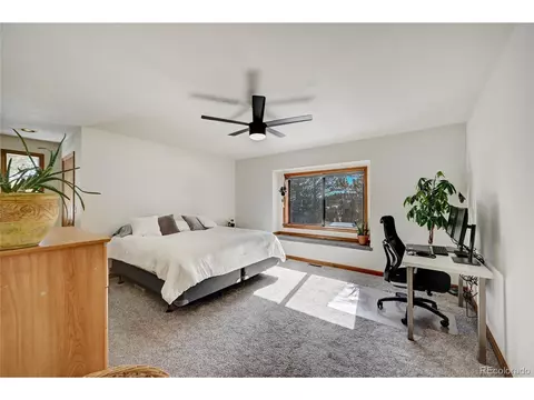 867 Bluebird Ln, Bailey, CO 80421 photo 10