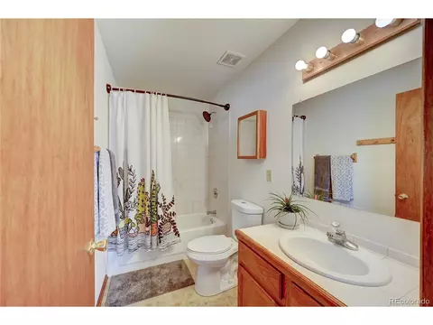 867 Bluebird Ln, Bailey, CO 80421 photo 16