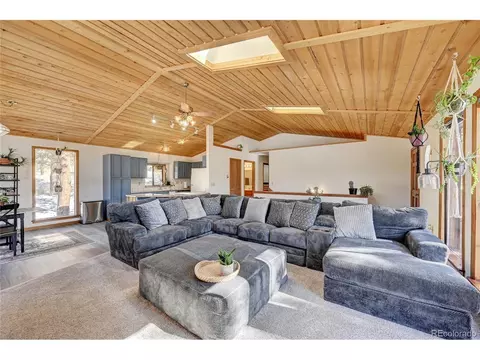 867 Bluebird Ln, Bailey, CO 80421 photo 8