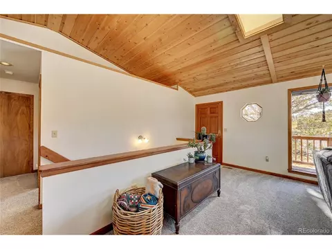 867 Bluebird Ln, Bailey, CO 80421 photo 17