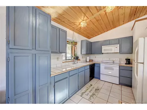 867 Bluebird Ln, Bailey, CO 80421 photo 5