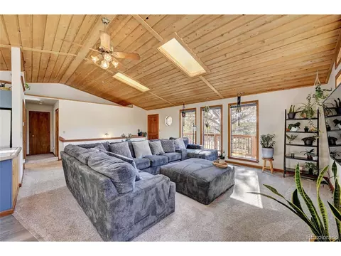 867 Bluebird Ln, Bailey, CO 80421 photo 7