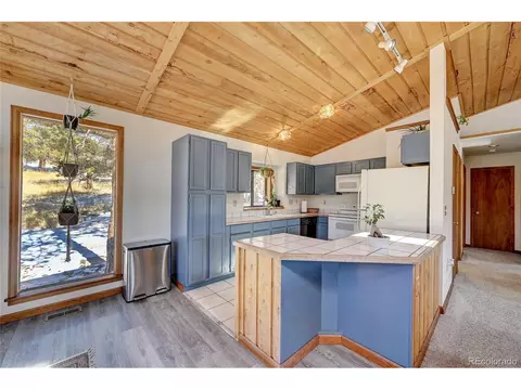 867 Bluebird Ln, Bailey, CO 80421 photo 6