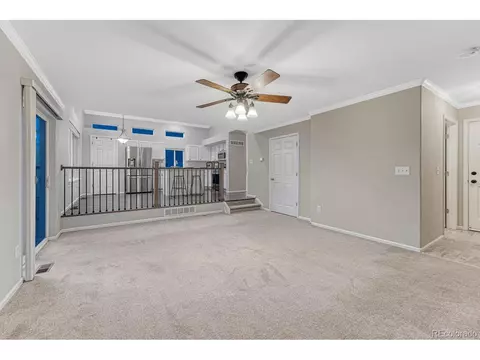 6867 Tiger Walk, Lone Tree, CO 80124 photo 20
