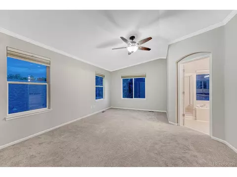 6867 Tiger Walk, Lone Tree, CO 80124 photo 24