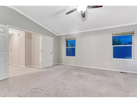 6867 Tiger Walk, Lone Tree, CO 80124 photo 28
