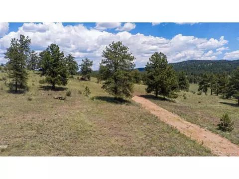 69 Park Ridge Dr, Guffey, CO 80820