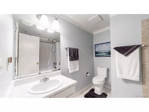 958 Mercury Cir, Lone Tree, CO 80124 photo 15