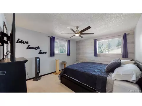 958 Mercury Cir, Lone Tree, CO 80124 photo 11