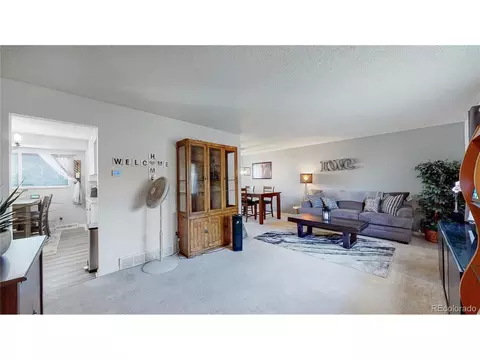 958 Mercury Cir, Lone Tree, CO 80124 photo 2
