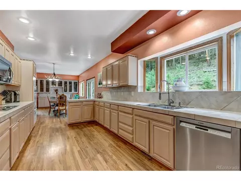 225 Roland Dr, Bailey, CO 80421 photo 21