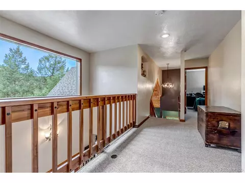 225 Roland Dr, Bailey, CO 80421 photo 28