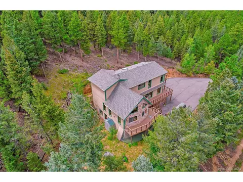 225 Roland Dr, Bailey, CO 80421 photo 1