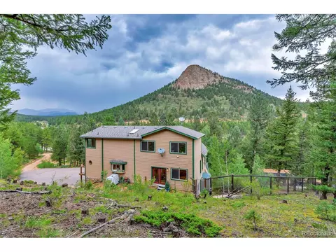 225 Roland Dr, Bailey, CO 80421 photo 9