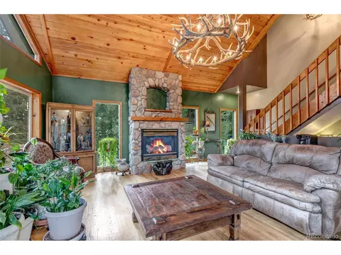 225 Roland Dr, Bailey, CO 80421 photo 17