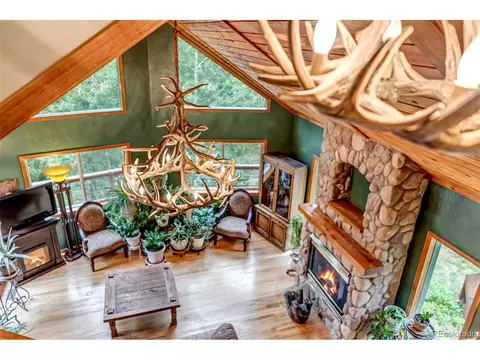 225 Roland Dr, Bailey, CO 80421 photo 27