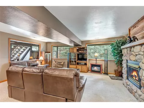 225 Roland Dr, Bailey, CO 80421 photo 39