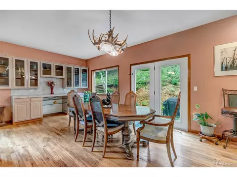 225 Roland Dr, Bailey, CO 80421 photo 19