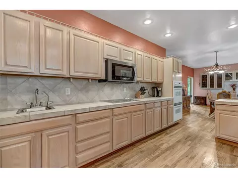 225 Roland Dr, Bailey, CO 80421 photo 23