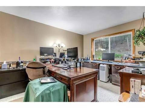 225 Roland Dr, Bailey, CO 80421 photo 37
