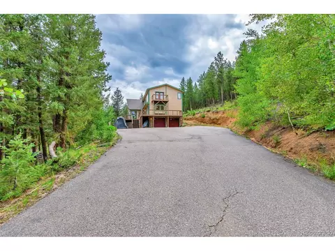 225 Roland Dr, Bailey, CO 80421 photo 11