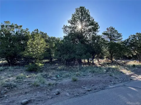 56 Baca Grant Way, Crestone, CO 81131 photo 5