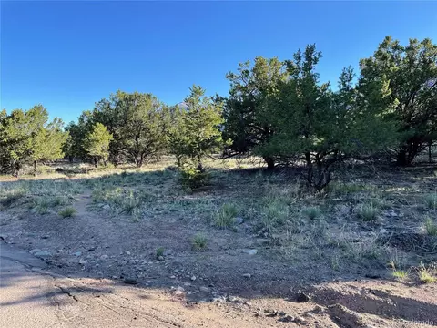 56 Baca Grant Way, Crestone, CO 81131 photo 4