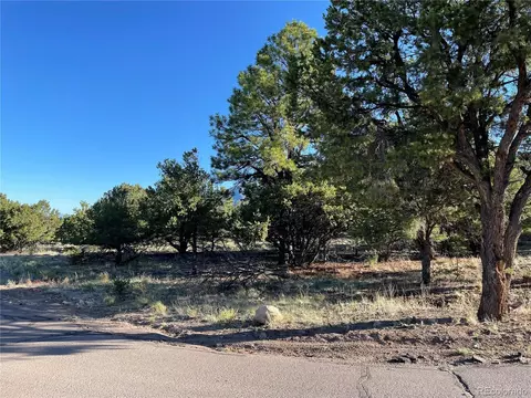 56 Baca Grant Way, Crestone, CO 81131 photo 2