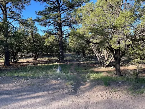 56 Baca Grant Way, Crestone, CO 81131 photo 6