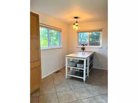 3740 Eudora St, Denver, CO 80207 photo 9