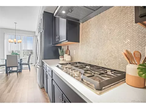 8962 E 47th Ave, Denver, CO 80238 photo 13