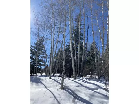 2469 Chamonix Ln #E4, Vail, CO 81657 photo 23