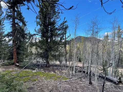83 Tumbler Way, Como, CO 80432