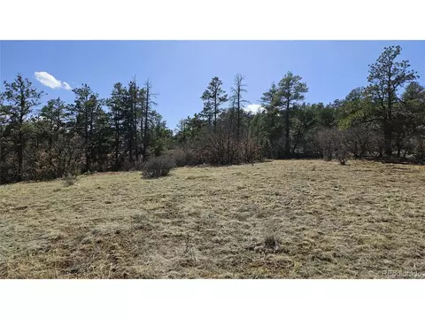 336 Rancho La Garita, Weston, CO 81091