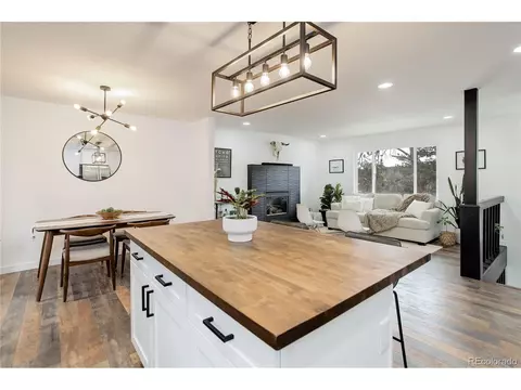 95 Fitzsimmons Rd, Bailey, CO 80421 photo 7